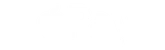 apple-pay logo